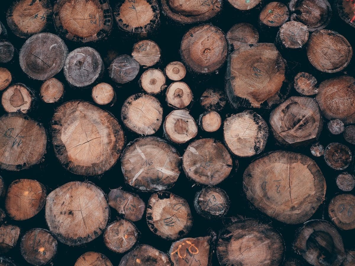 pile of brown wooden logs