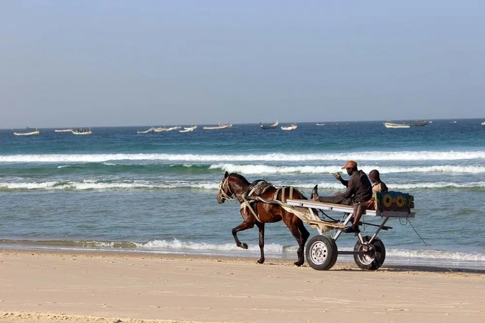 idées de voyage au mois de Novembre