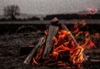 feu de bois