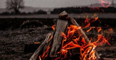 feu de bois