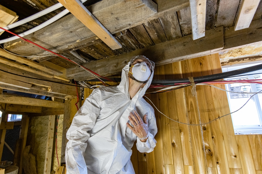 Comment nettoyer la moisissure apparue sur des boiseries ? EuroZine